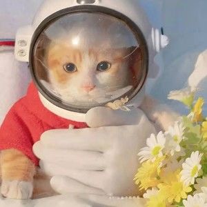 Meet your Posher, Ray m.